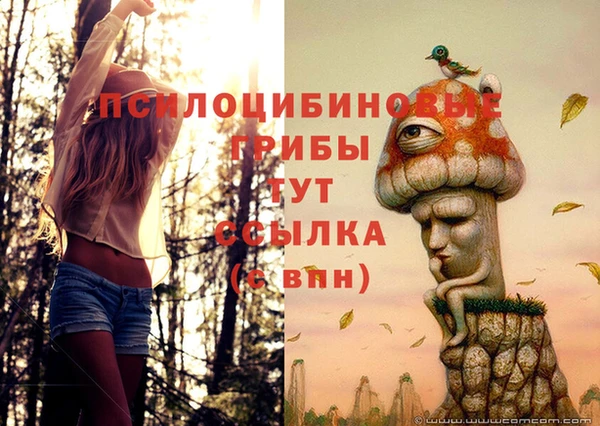 a pvp Новодвинск