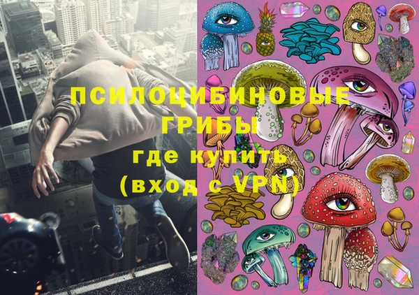 a pvp Новодвинск